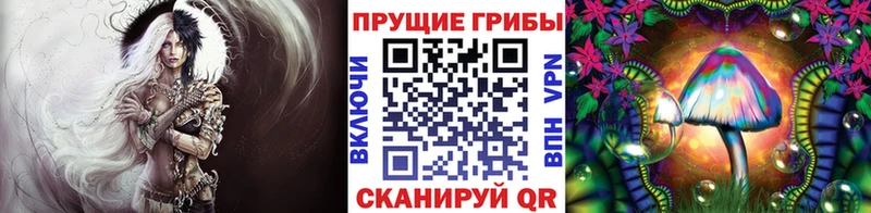 darknet Telegram  Фурманов  Псилоцибиновые грибы ЛСД 